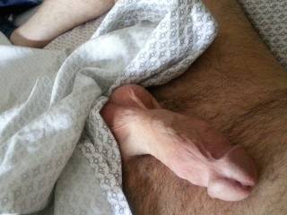 I just cannot resist the allure of a huge, shaved and smooth cock...
