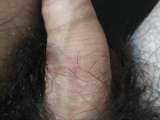 My dick after masturbation