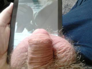 My balls were so engorged at the thought of wanking to my Zoig friend's pics of her great chest. See them in focus here http://www.zoig.com/profile/countandessa
