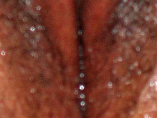My wife's wet tasty pussy!