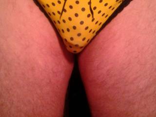 want to suck you off thru your sexy panties