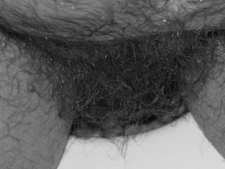 Pic close up of my pubic hair taken on the 4th of July of 2007,while I am busy in the bathroom.