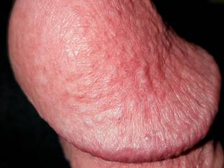 Close Up Erect Penis Head