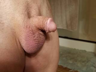 Brian Stoddard gay shaved small femboy hairless penis
