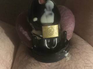 My view. Went out & found a friend to bring home, enjoyed herself while I was locked then made him cum on me, what a tease.