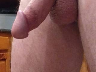 My mature cock, unkept and first thing in the morning waiting for your attention.. what kind of attention can you give it?