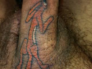 A few days ago I decided it would be a good idea to get a weasel tattooed on my cock. 
Today it was done.  Not a great photo because it was taken seconds after it was finished and the skin is angry and swollen but I love it. 
The only downside is no sex