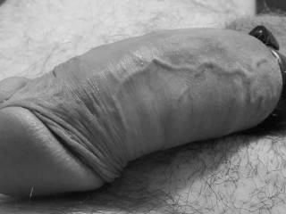 Just relaxing with my cock ring on, getting him nice and thick ready for a beating