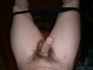 top view of my hairy cock and sack
love comments please