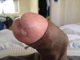 a nice fat drop of pre cum for any lady that would like to taste it