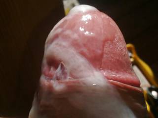Cum on my fat cockhead after jacking off ;)