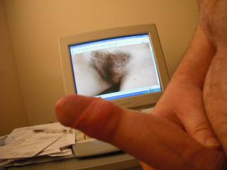 My aroused prick and a porn star's hot hairy cunt with sadly the screen between me and her!