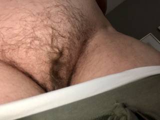 Full hairy winter bush