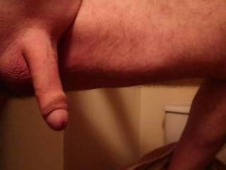 just out of the shower new shaved cock.