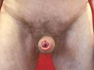 My cock is erect, my glans swollen, my foreskin starting to ease back and my meatus parted. I wonder can you tell from those hints exactly what I am thinking?