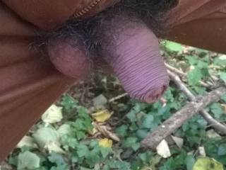 hairy smal cock