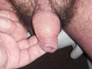 Small 3inch cock... love to watch it grow and dribble as I turn him on