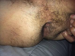 the hairy butthole open