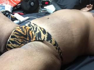 Tiger thong bulge