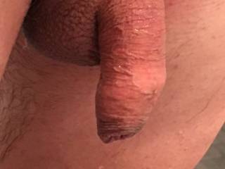After shower I took this picture of my flaccid cock. Anyone wanna guess the size soft and hard?
