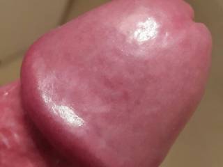uncut cock head