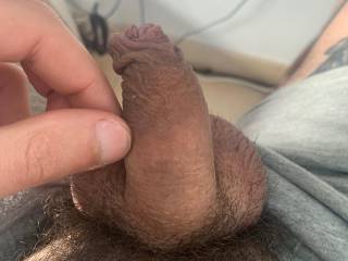 Tiny Uncut Cock