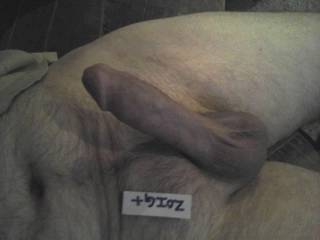 His hard dick, as requested this morning  while chatting with a zoig friend and doing tributes.
