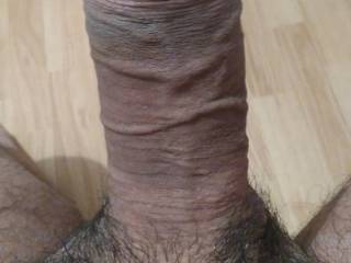 my hungry cock
