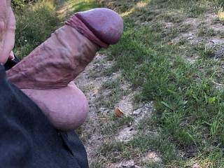 You like the veins and my cock's head?
