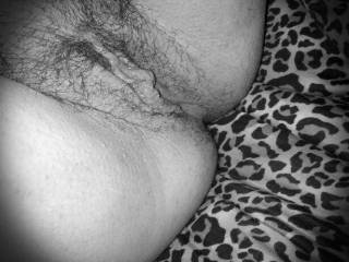 My " a little hairy" pussy!